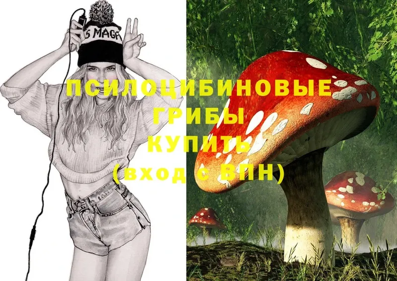 Галлюциногенные грибы Cubensis  Батайск 